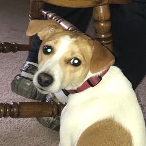 Meet your Posher, Bethany